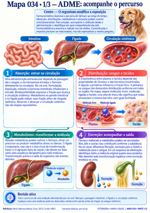 Farmacocinética: ADME: página real do mapa visual