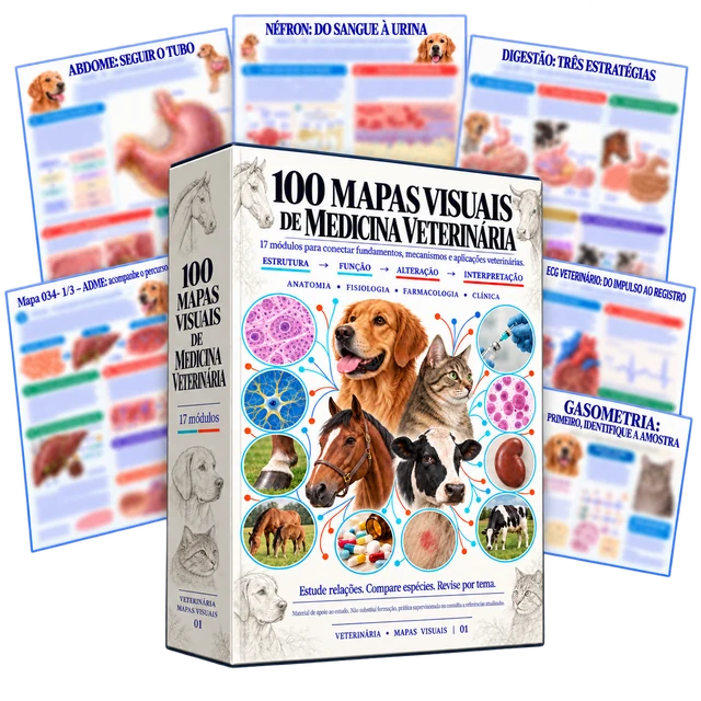 100 Mapas Visuais de Medicina Veterinária com seis amostras do produto principal.